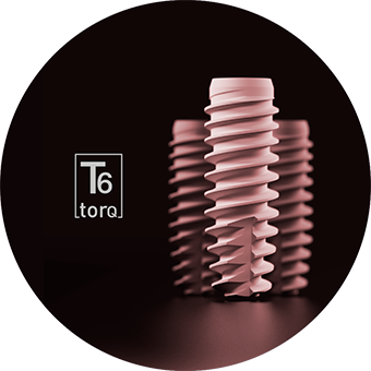 T6 Torq
